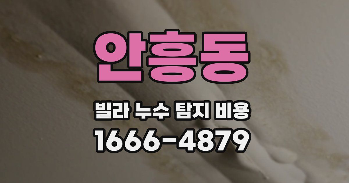 안흥동 빌라 누수 탐지 비용