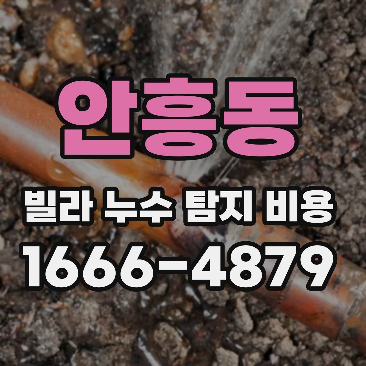 안흥동 빌라 누수 탐지 비용