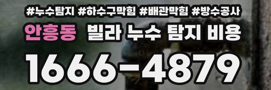 안흥동 빌라 누수 탐지 비용
