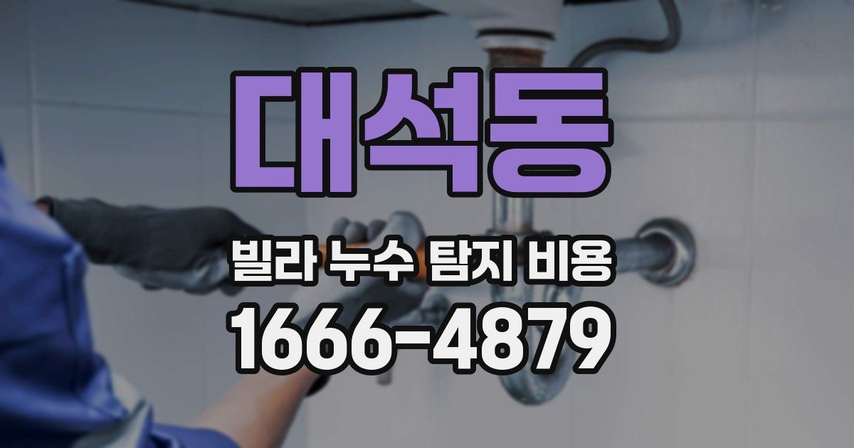 대석동 빌라 누수 탐지 비용