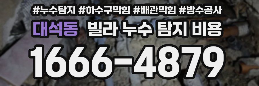 대석동 빌라 누수 탐지 비용