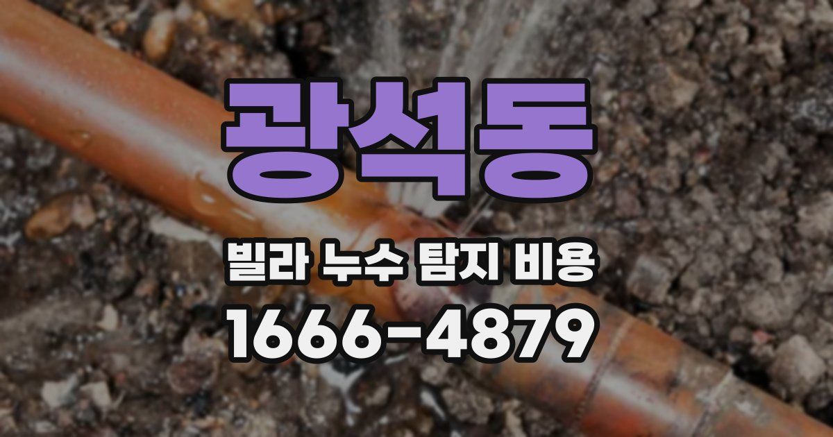 광석동 빌라 누수 탐지 비용