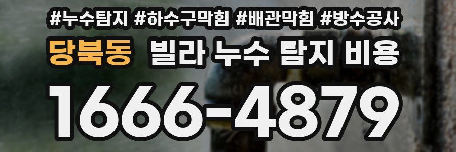 당북동 빌라 누수 탐지 비용