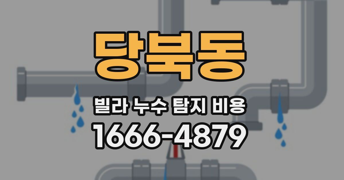 당북동 빌라 누수 탐지 비용