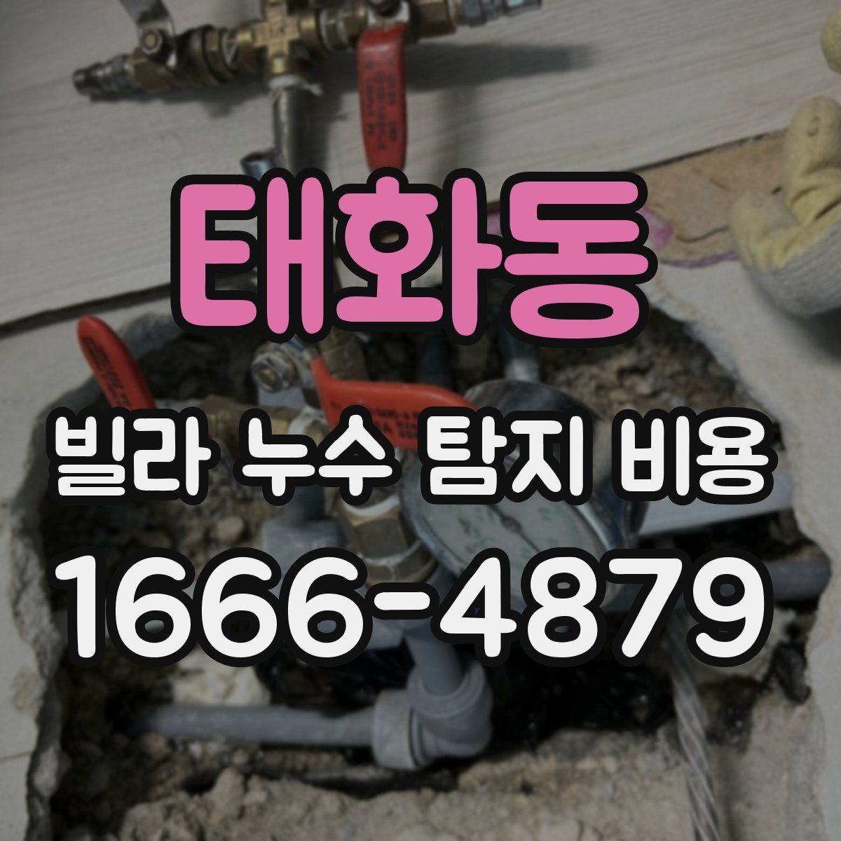 태화동 빌라 누수 탐지 비용