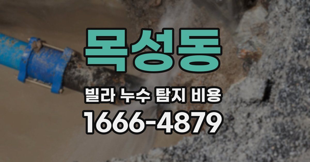 목성동 빌라 누수 탐지 비용