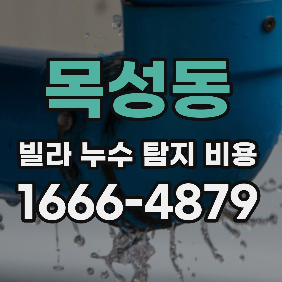 목성동 빌라 누수 탐지 비용