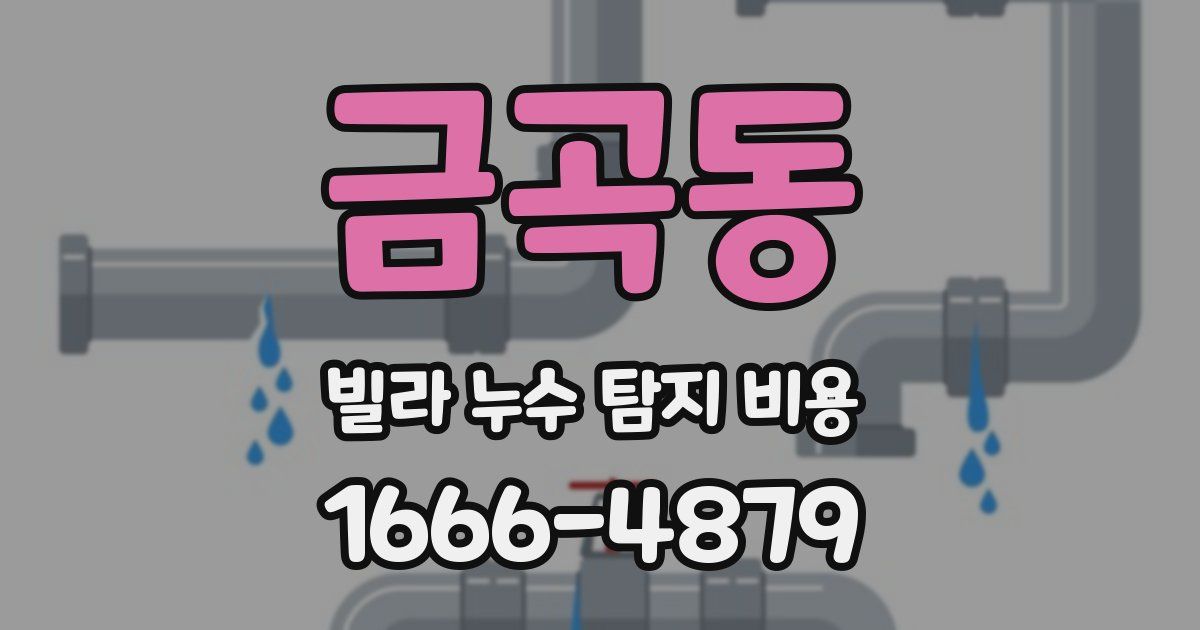 금곡동 빌라 누수 탐지 비용