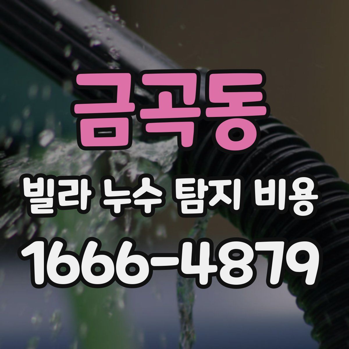 금곡동 빌라 누수 탐지 비용