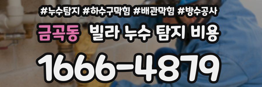 금곡동 빌라 누수 탐지 비용