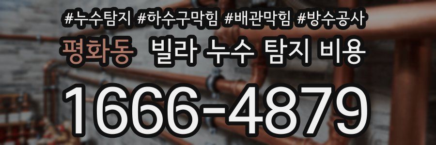 평화동 빌라 누수 탐지 비용