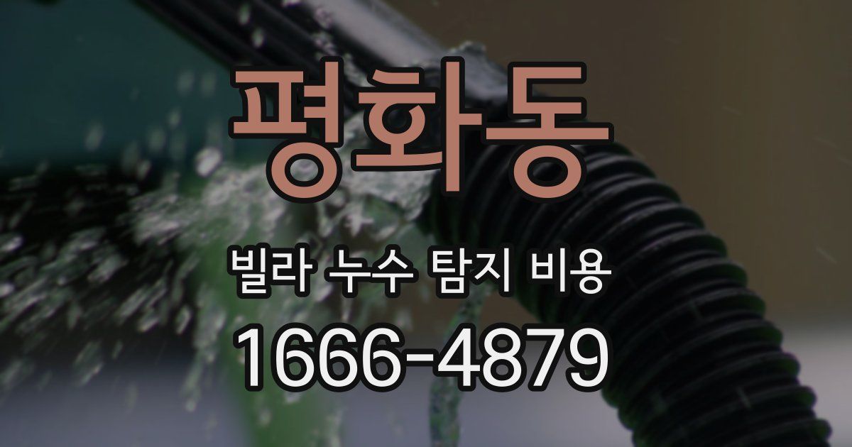평화동 빌라 누수 탐지 비용