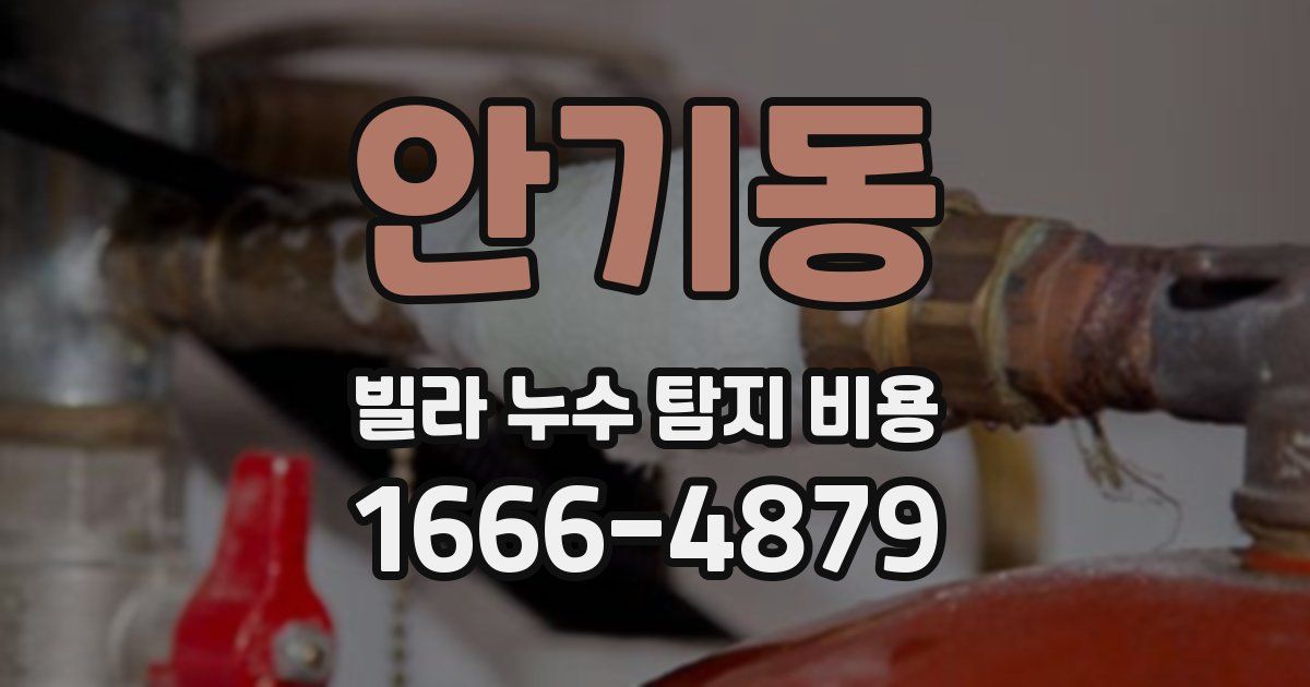 안기동 빌라 누수 탐지 비용