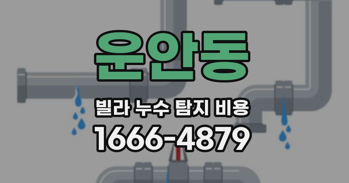 운안동 빌라 누수 탐지 비용
