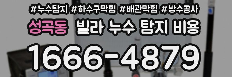 성곡동 빌라 누수 탐지 비용