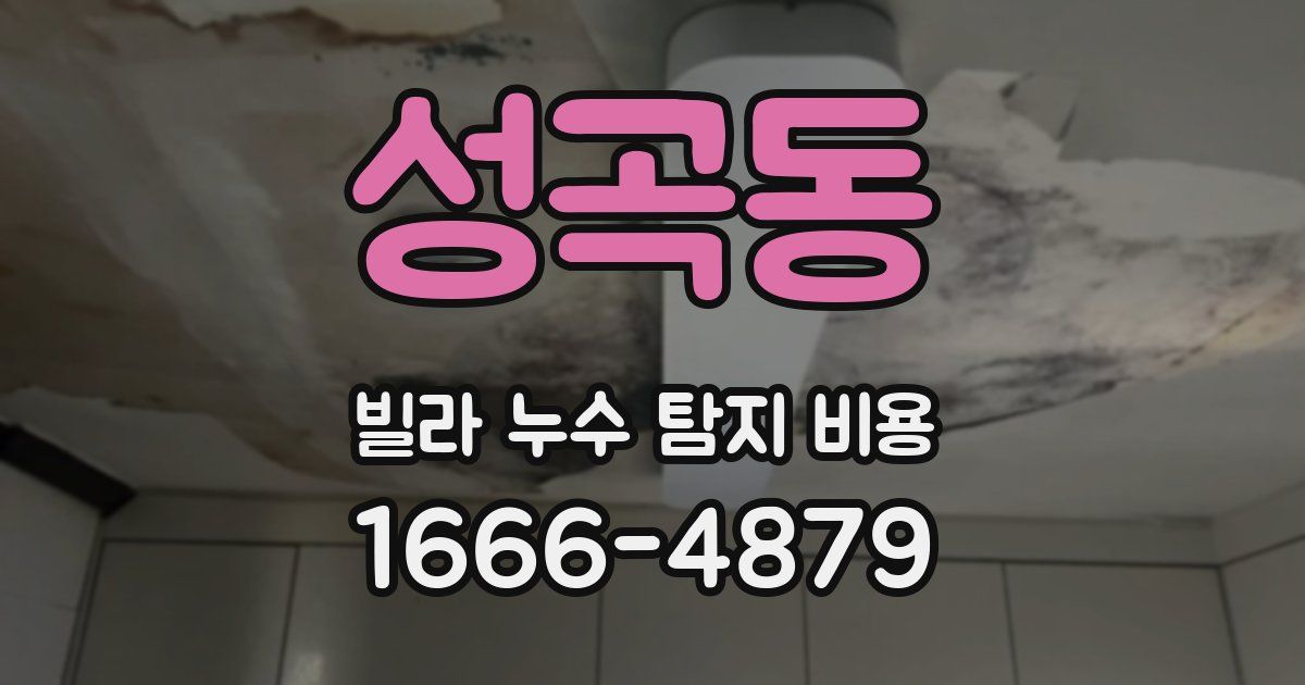 성곡동 빌라 누수 탐지 비용