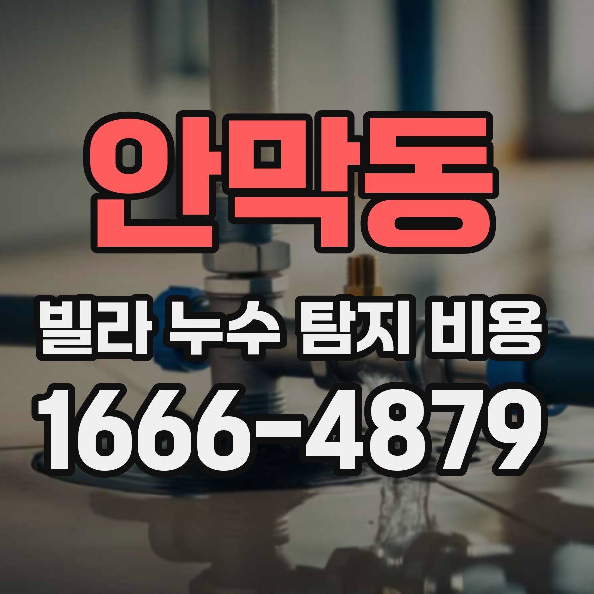 안막동 빌라 누수 탐지 비용