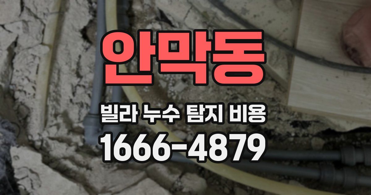 안막동 빌라 누수 탐지 비용