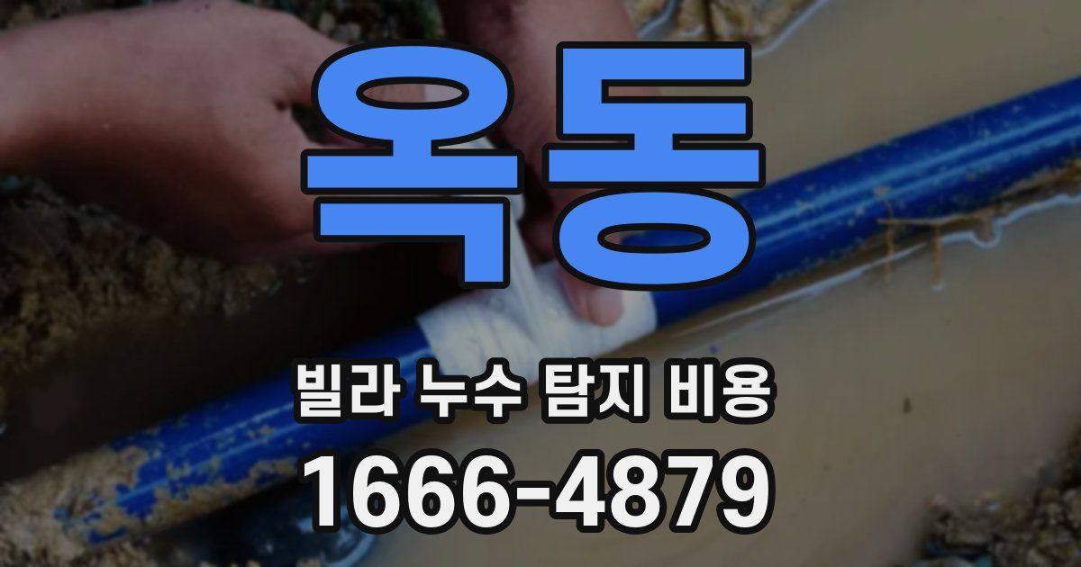 옥동 빌라 누수 탐지 비용