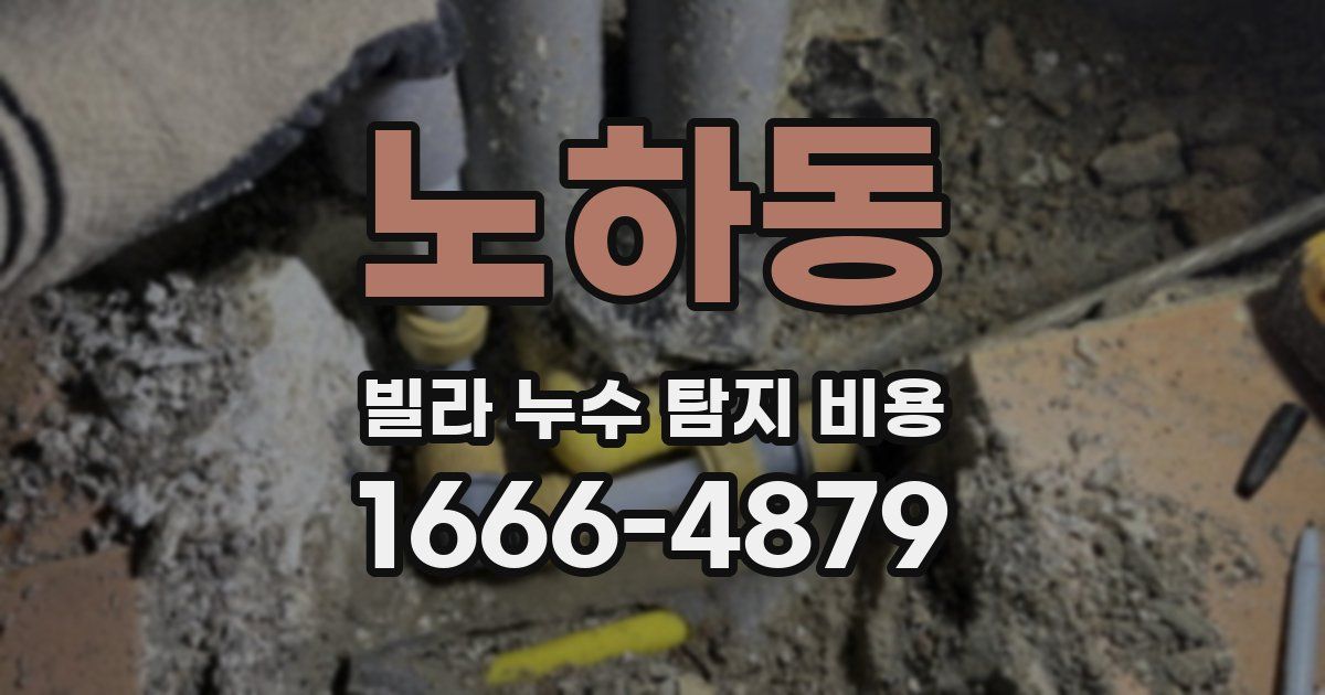 노하동 빌라 누수 탐지 비용