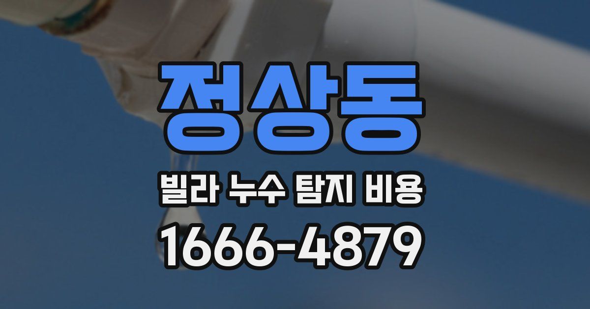 정상동 빌라 누수 탐지 비용