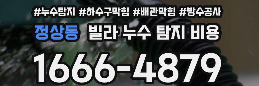 정상동 빌라 누수 탐지 비용
