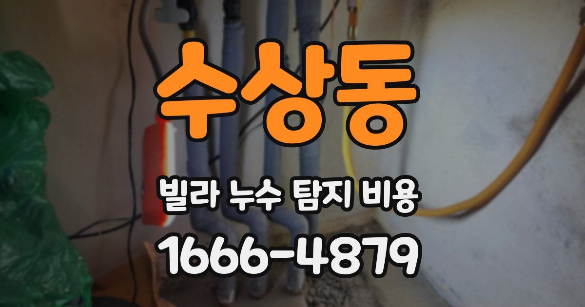수상동 빌라 누수 탐지 비용