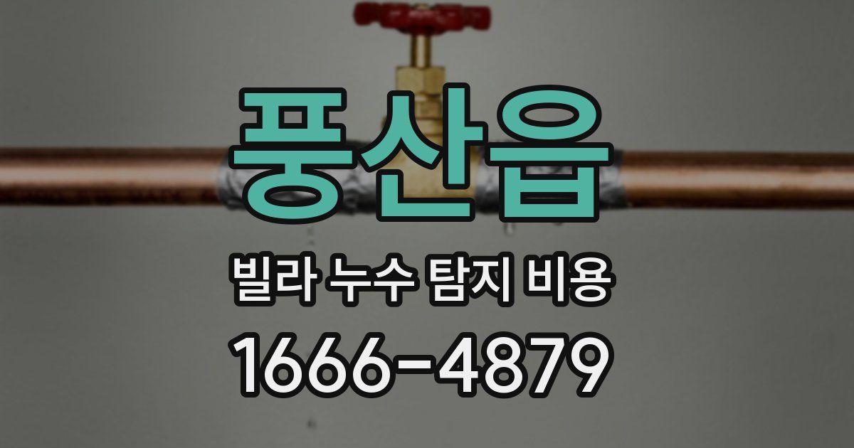 풍산읍 빌라 누수 탐지 비용
