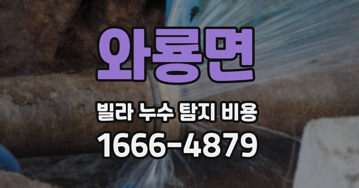 와룡면 빌라 누수 탐지 비용