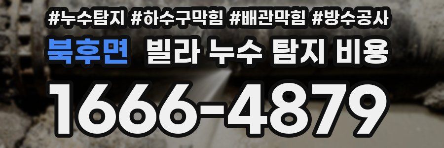 북후면 빌라 누수 탐지 비용