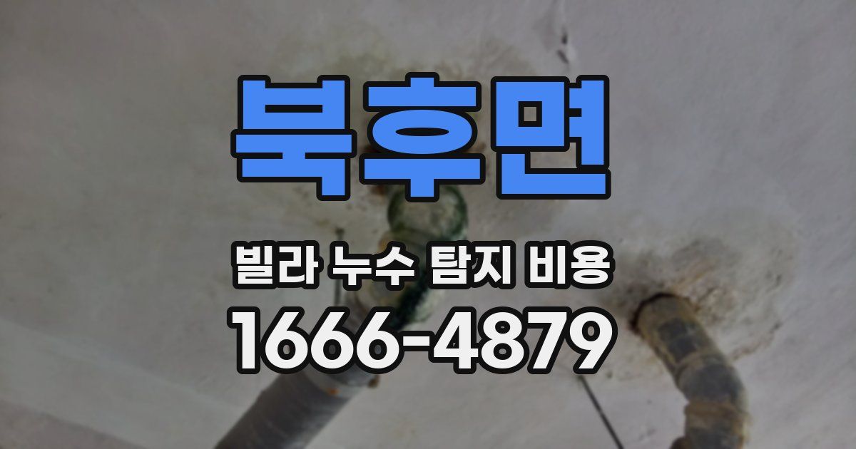 북후면 빌라 누수 탐지 비용