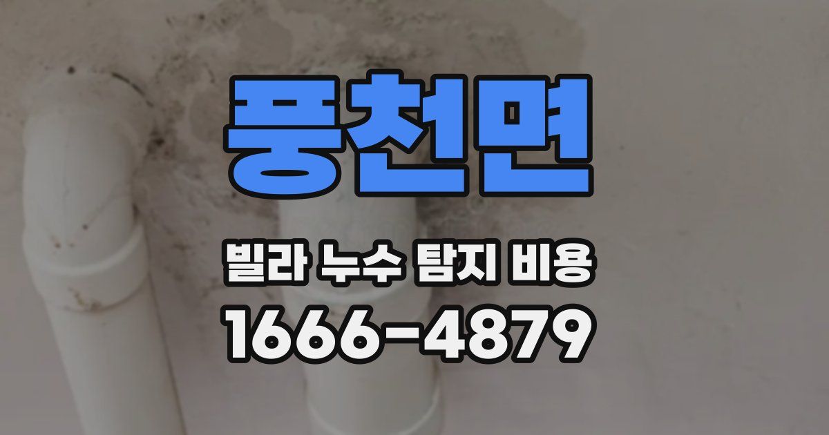 풍천면 빌라 누수 탐지 비용