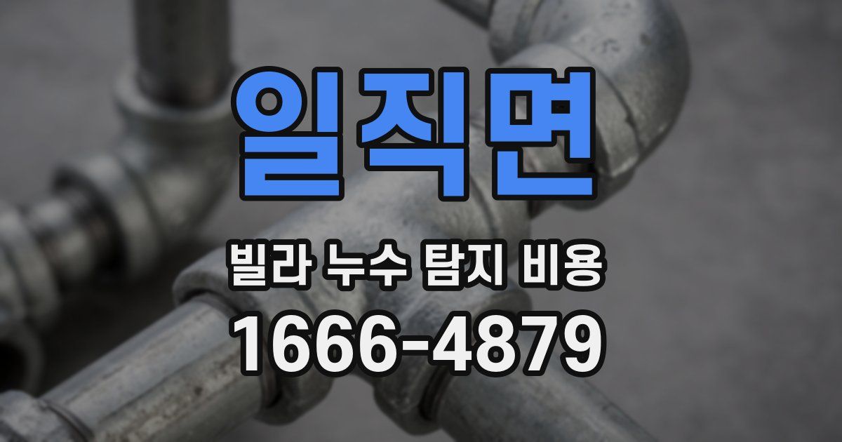 일직면 빌라 누수 탐지 비용