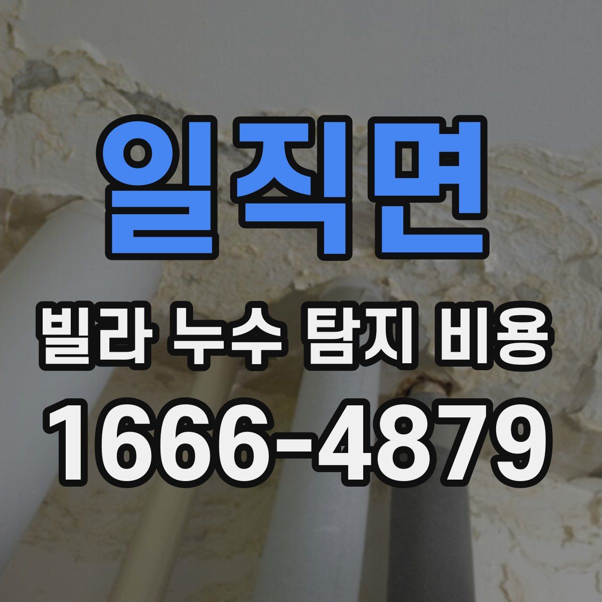 일직면 빌라 누수 탐지 비용
