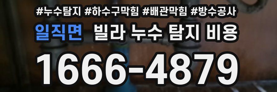 일직면 빌라 누수 탐지 비용