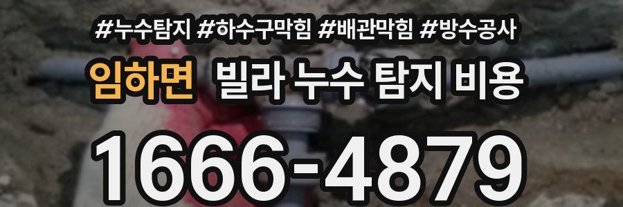 임하면 빌라 누수 탐지 비용