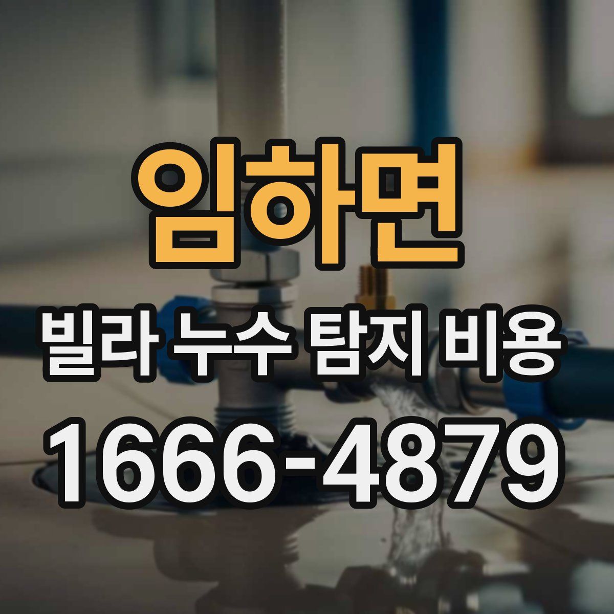 임하면 빌라 누수 탐지 비용