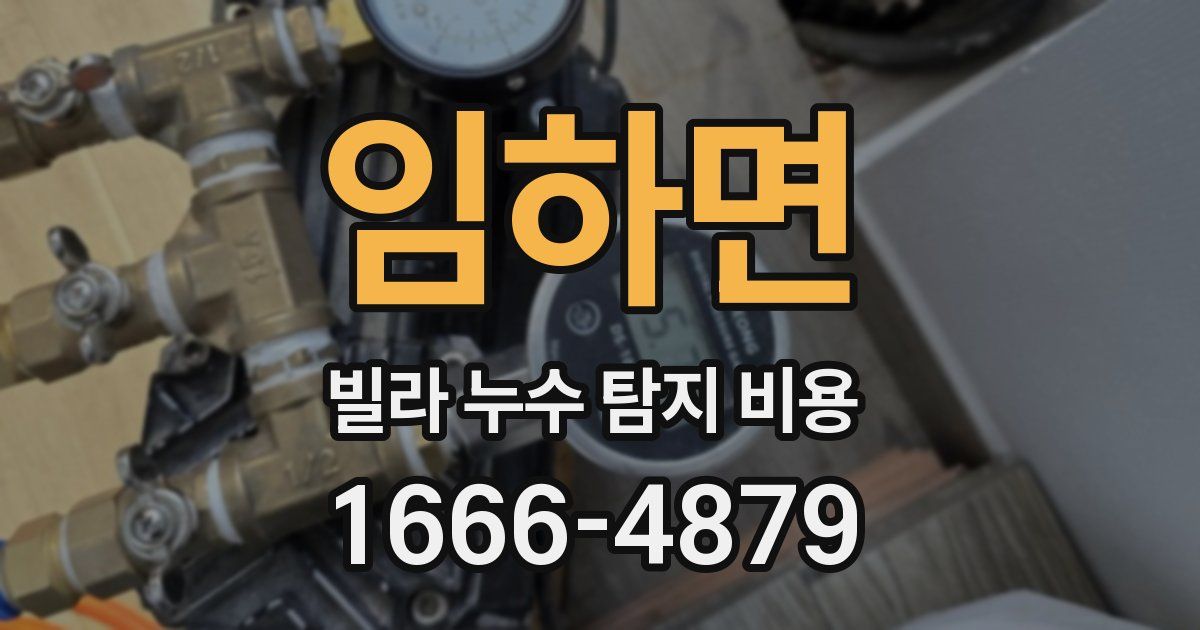 임하면 빌라 누수 탐지 비용