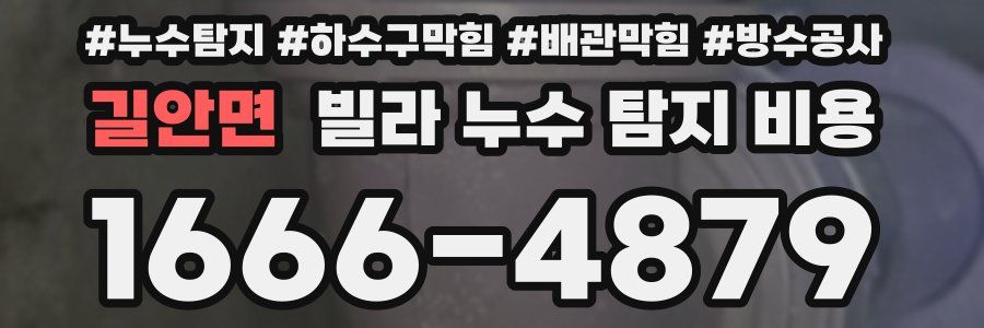 길안면 빌라 누수 탐지 비용