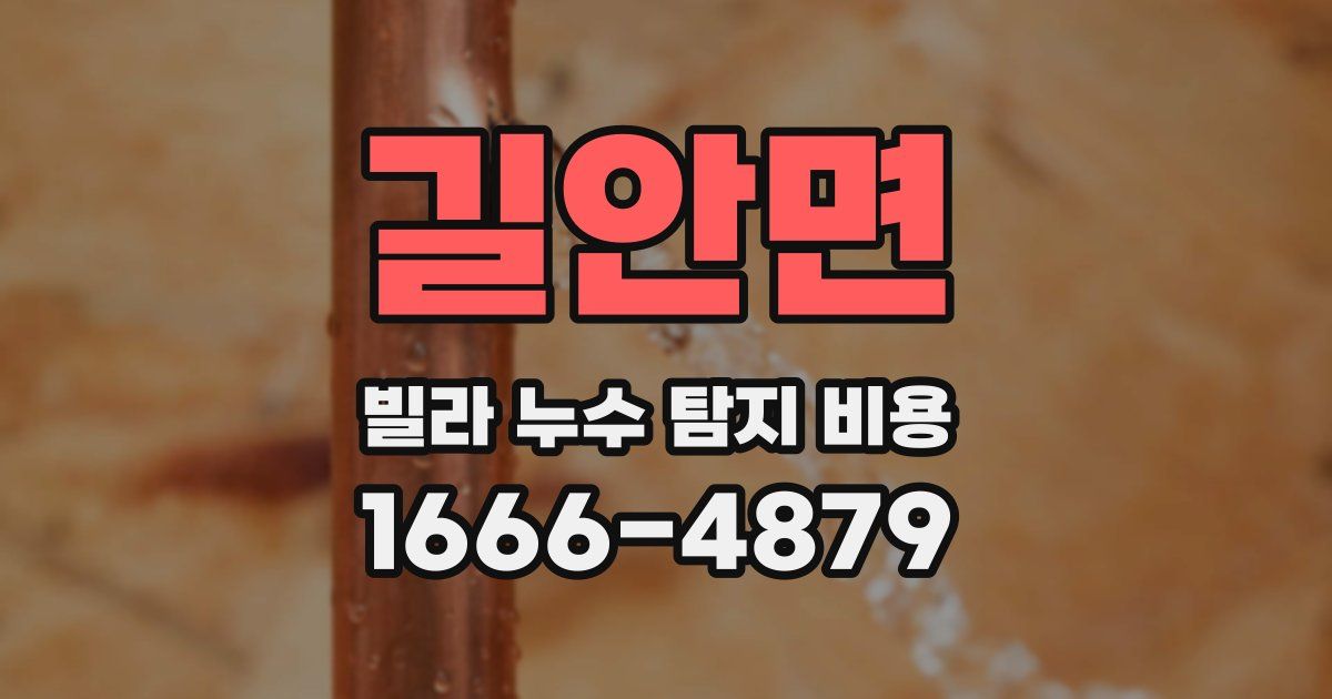 길안면 빌라 누수 탐지 비용