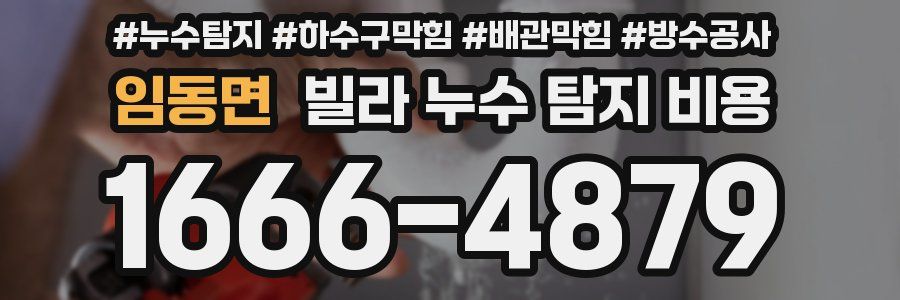 임동면 빌라 누수 탐지 비용