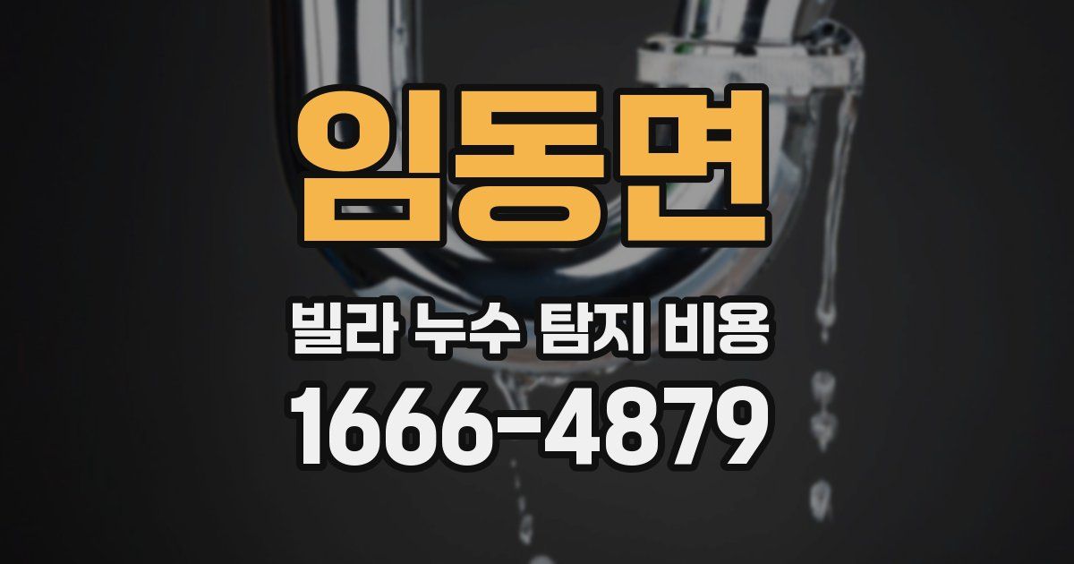 임동면 빌라 누수 탐지 비용