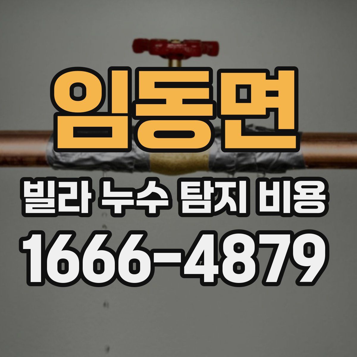 임동면 빌라 누수 탐지 비용
