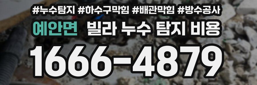 예안면 빌라 누수 탐지 비용