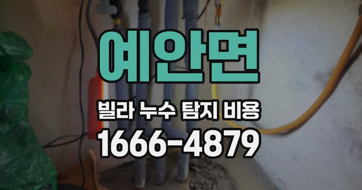 예안면 빌라 누수 탐지 비용