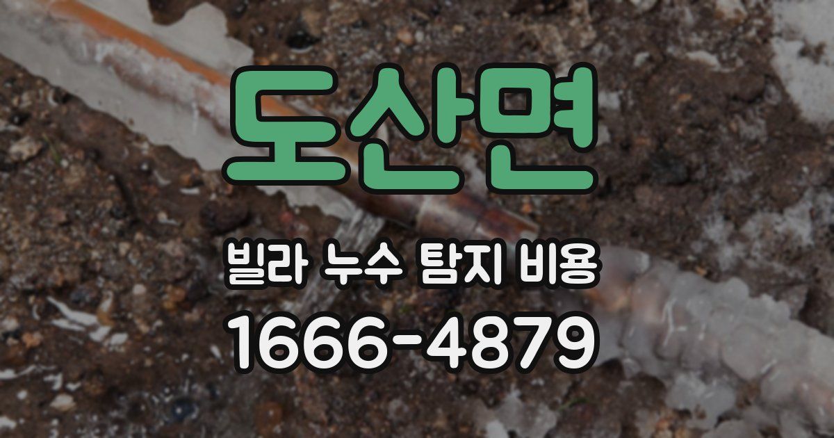 도산면 빌라 누수 탐지 비용