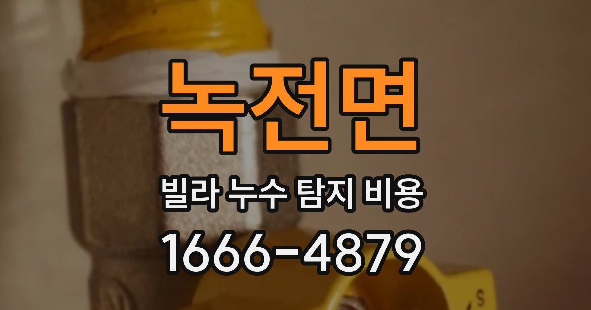 녹전면 빌라 누수 탐지 비용
