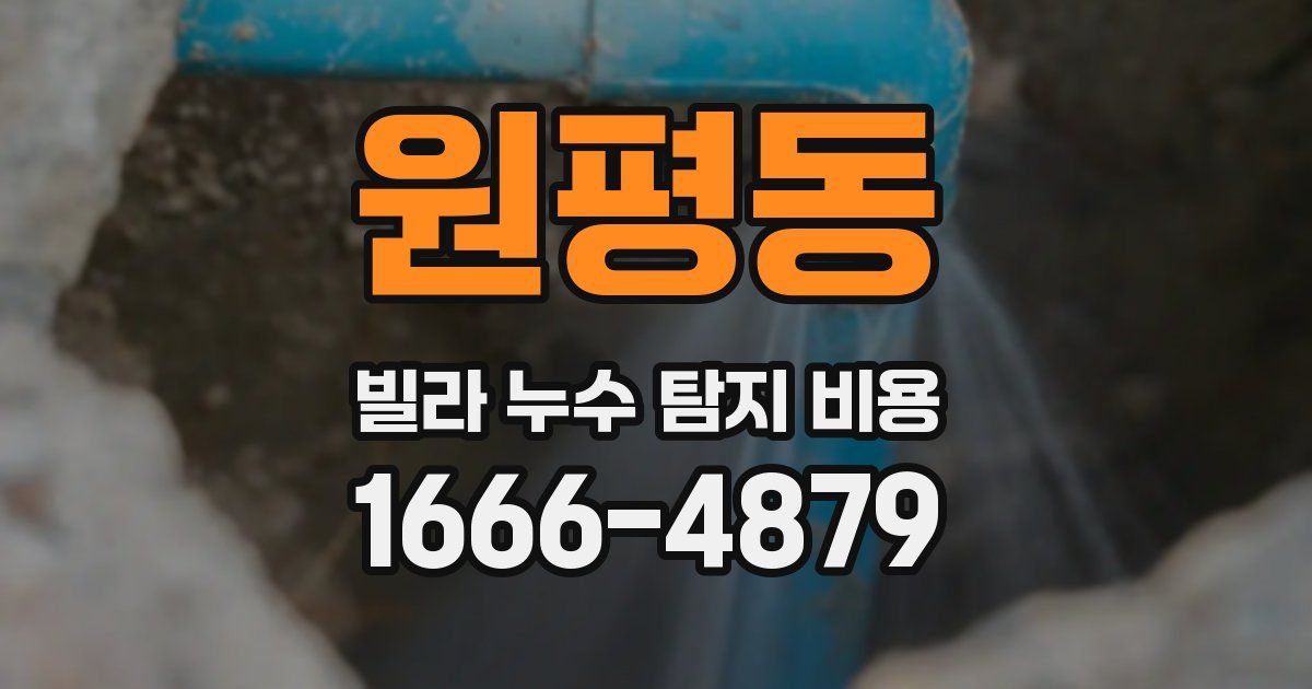 원평동 빌라 누수 탐지 비용