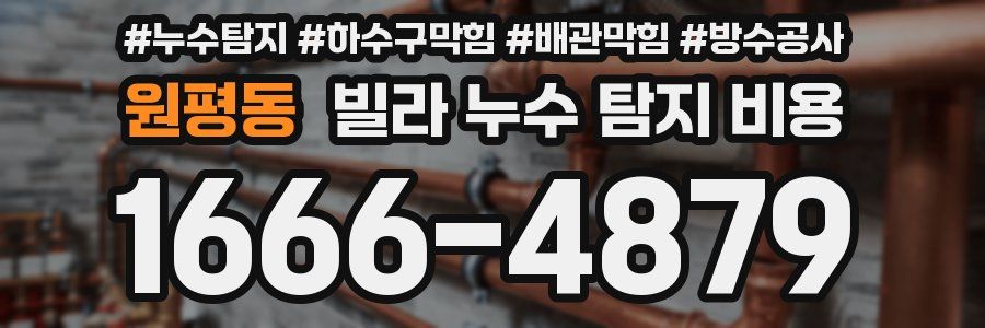 원평동 빌라 누수 탐지 비용