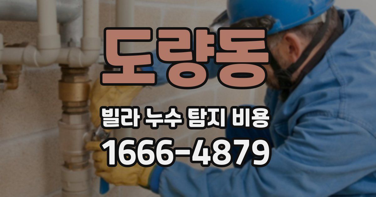 도량동 빌라 누수 탐지 비용